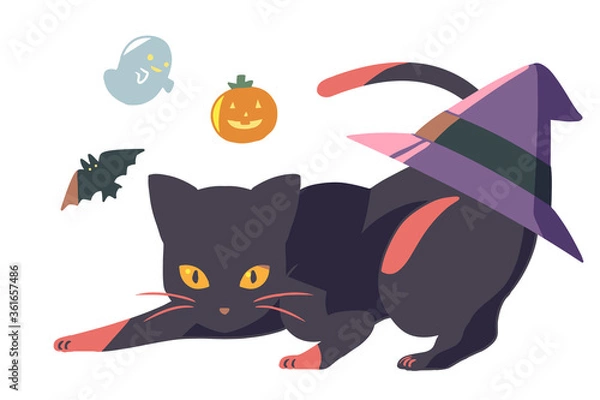 Fototapeta 黒猫と後ろに三角帽子(線無し)