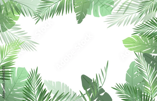 Fototapeta palm leaves vector background. 
leaf pattern design.