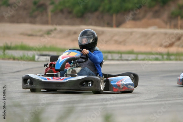 Obraz Go kart
