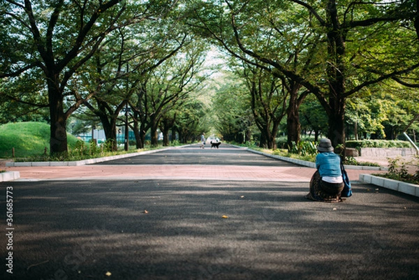 Obraz 女性の後ろ姿