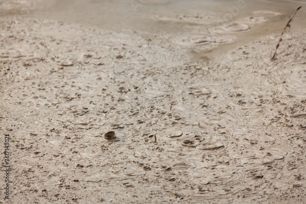 Fototapeta Boiling geothermal mud pool Rotorua New Zealand