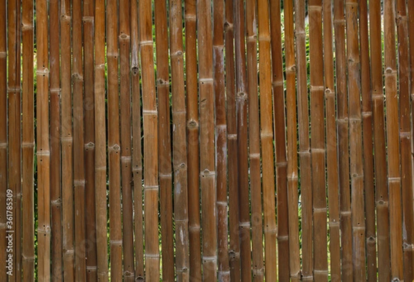Obraz Bambo fence
