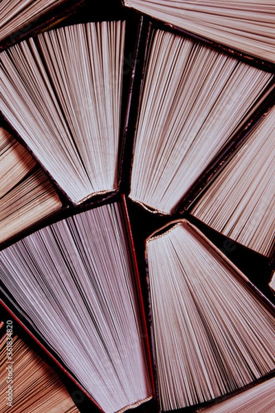 Fototapeta Colorful books ready to be read in the home library