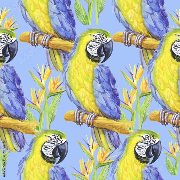 Fototapeta tropical parrot watercolor silhouette tropical bird isolate object blue background
