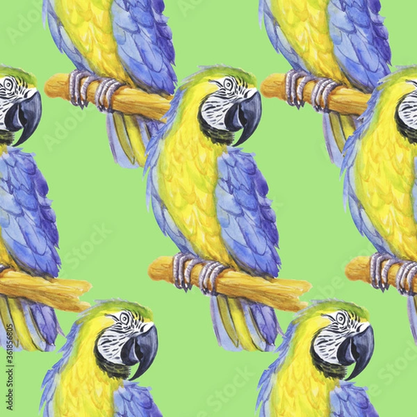 Obraz pattern tropical parrot watercolor silhouette tropical bird isolate object green background

