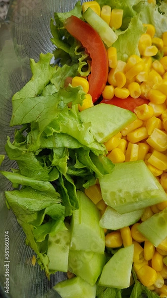 Obraz Salade de saison