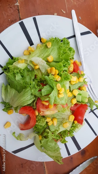 Obraz Salade de saison