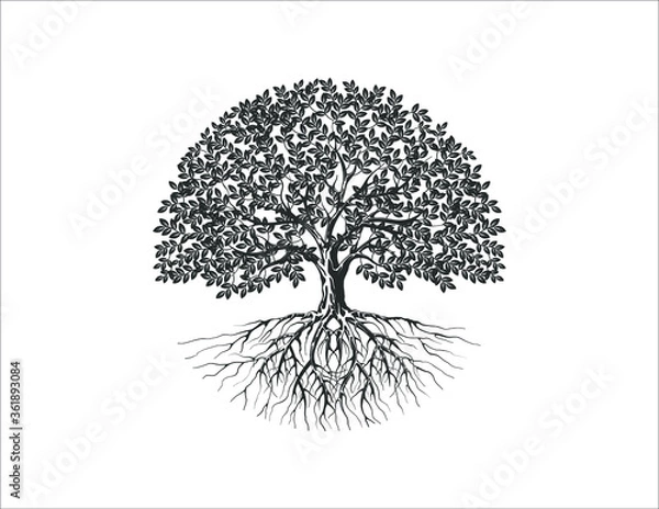 Obraz Tree and roots vector silhouette in circle shape