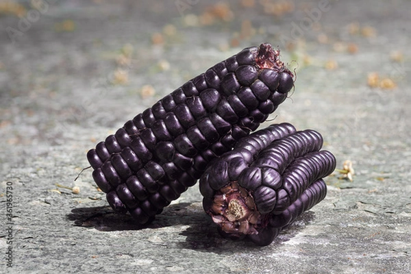 Fototapeta details of a peruvian purple corn, zea mays l, a product with high nutritional value