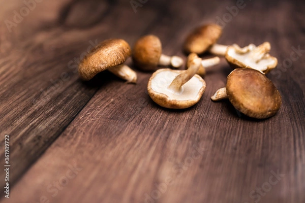 Fototapeta Close-up british mushrooms on a wooden brown table with free space for your decoration/text.