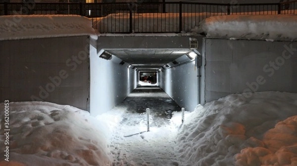 Obraz 細い歩道のトンネル