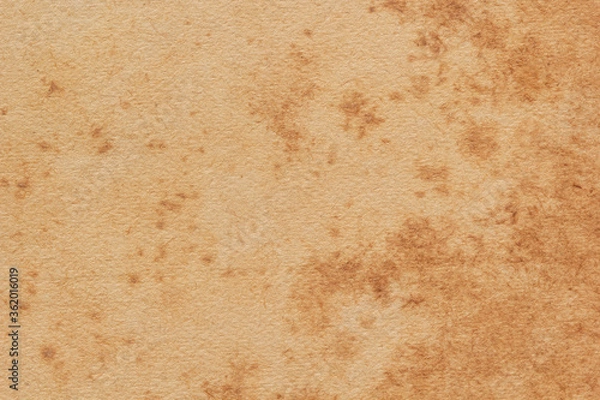 Obraz Brown paper background. Empty cardboard texture. Craft sheet