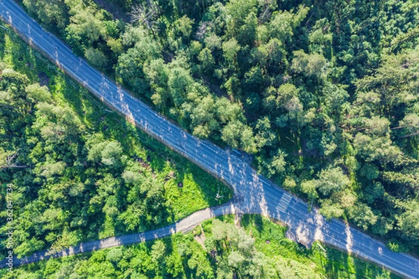 Obraz Green forest aerial drone view.