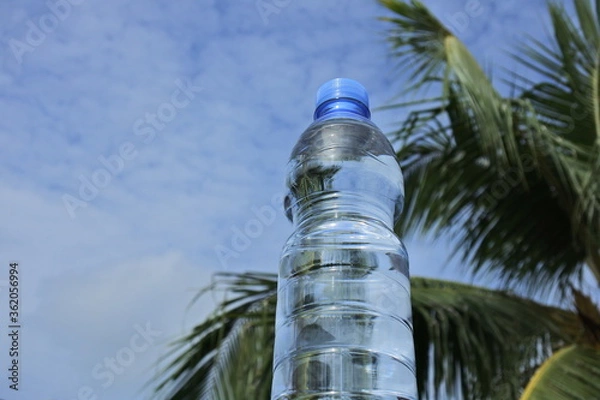 Obraz tree in the sky