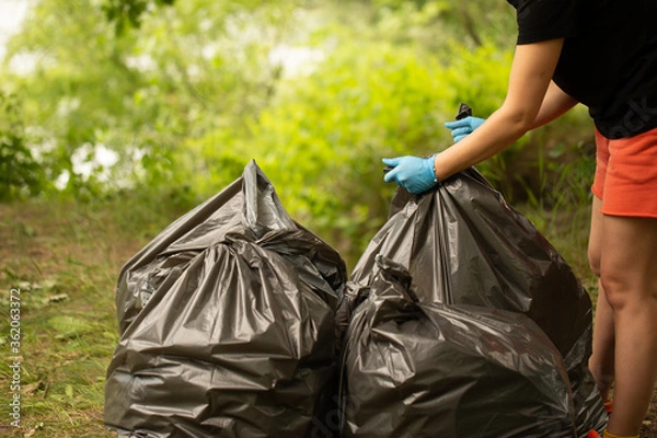 Obraz People collect garbage in bags. Hands tie a bag. Collect garbage in nature. The concept of cleaning in nature. Clean the green area. Collect garbage in gloves. Black bags. trash 