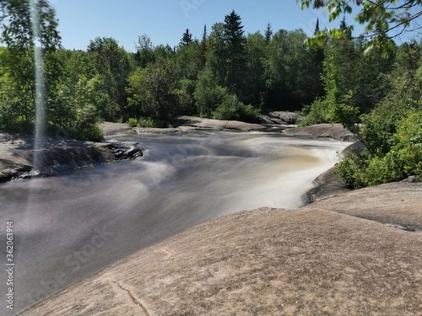 Obraz river in the forest