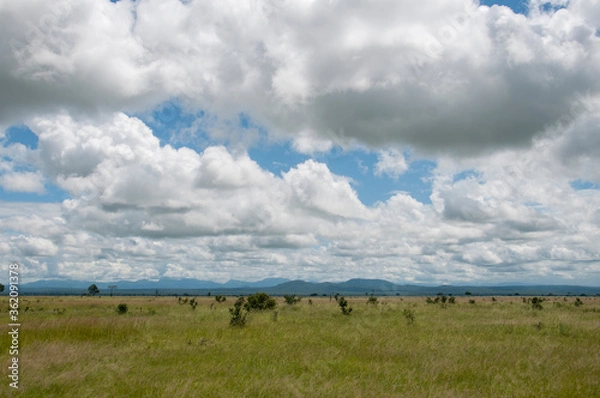 Obraz clouds over the field