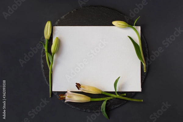 Obraz White clean white textured banner paper card without massage with fresh spring buds of lily flowers on a round slate on a black background. Top view. Space for text.