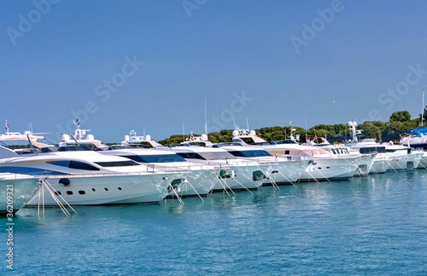 Obraz White yachts