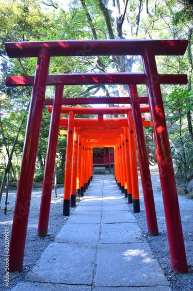 Fototapeta 稲荷神社の紅い鳥居
