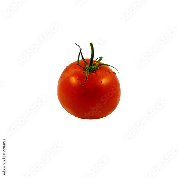 Obraz Tomato isolated on a white background.