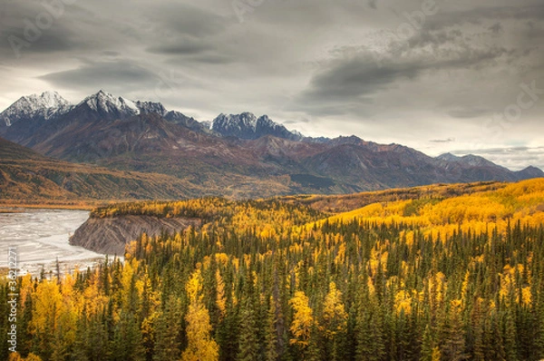 Obraz View to mount Wrangell and Zanetti