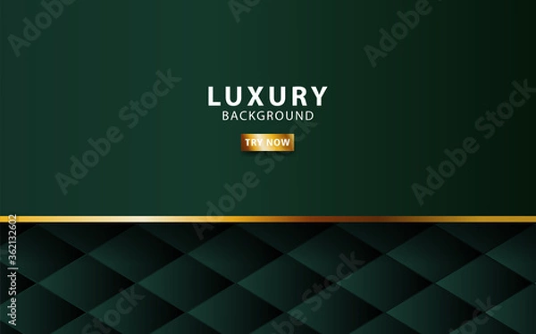 Obraz luxury premium gold and green vector background banner design with golden line.