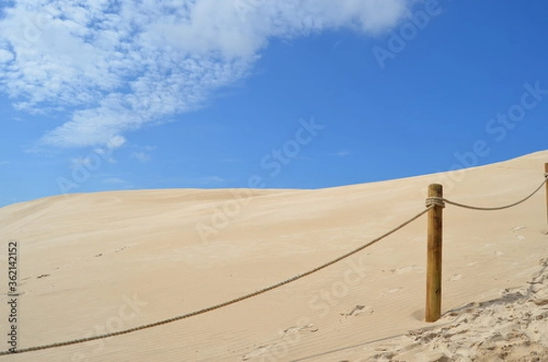 Obraz sand dunes, desert in Leba