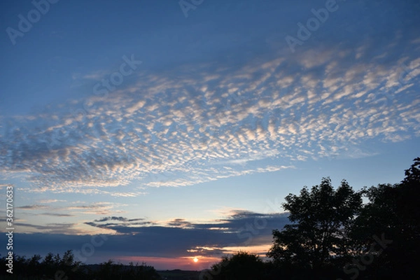 Fototapeta Blue hour
