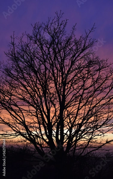 Obraz Sunest palette