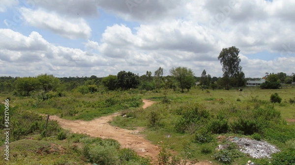 Obraz landscape with blue sky