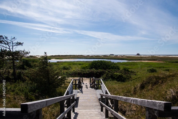 Fototapeta Lookout Point over the Dunes at Sankt Peter-Ording