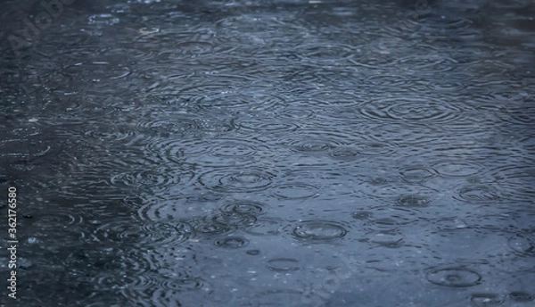 Fototapeta rain drops falling in pool