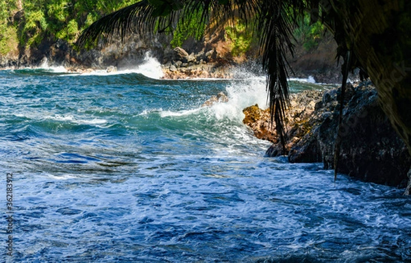 Obraz Water Waves At Onomea Bay