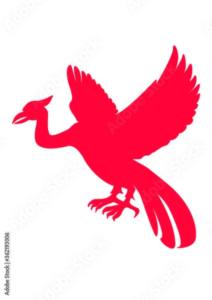 Fototapeta red rooster isolated on white