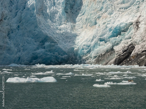 Fototapeta Surprise Glacier and ices floating in the sea . Prince William Sound, Alaska, USA.