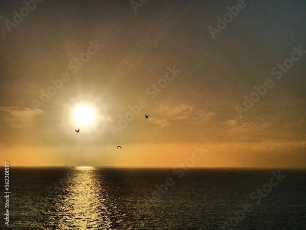 Obraz sunset over the sea