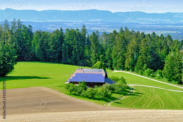 Obraz House in countryside with large number of solar panels on the roof