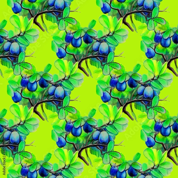 Obraz illustration blueberry berries branches pattern