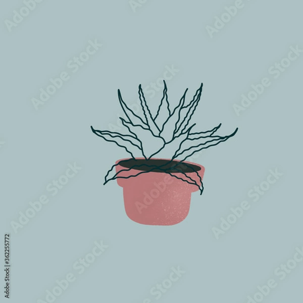 Obraz line, plant, spider, pot