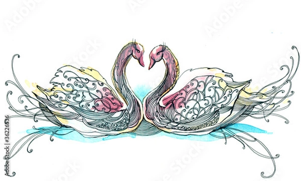 Obraz swan couple (series C)