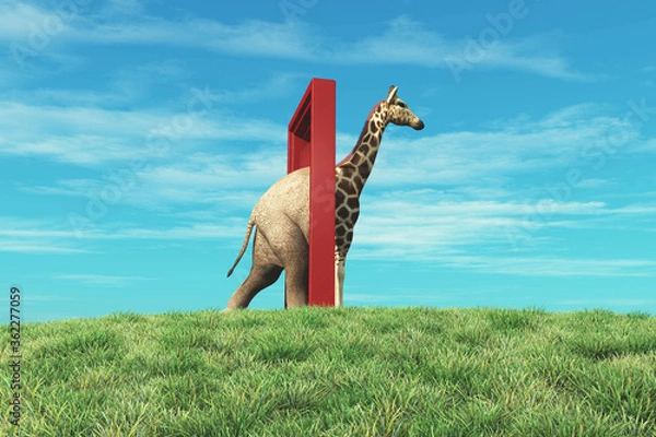 Fototapeta Life changing decision