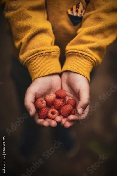 Obraz heart in hands