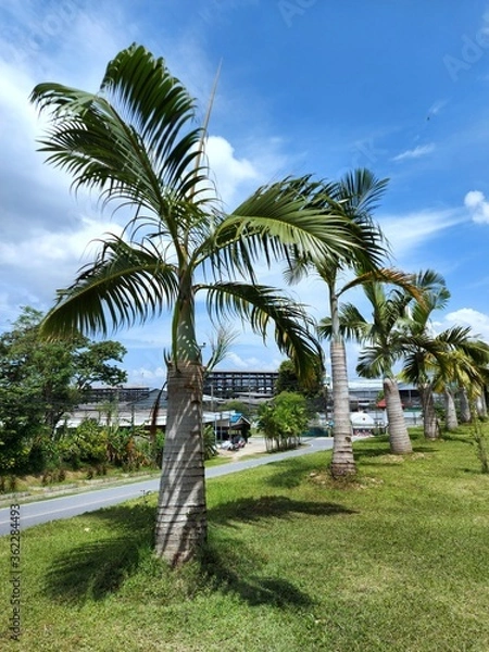 Fototapeta the picturesque area of La Pointe Aux Canonniers in Thailand