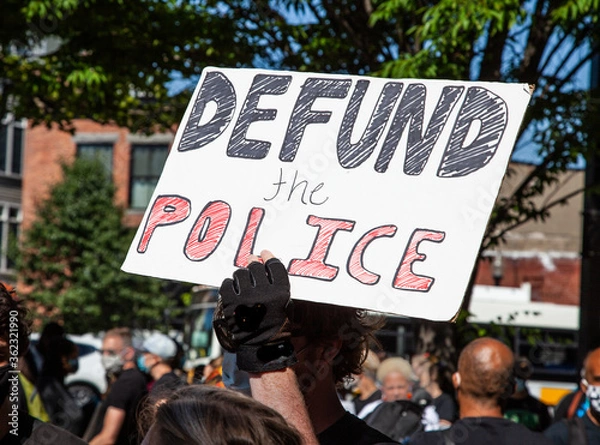 Obraz Defund Police