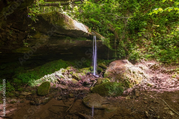 Obraz Water flowing over moss covered rocks