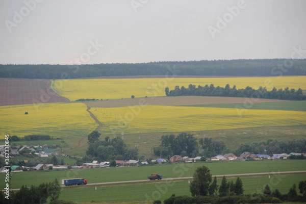 Fototapeta Summer landscape. Russian field. Nature view