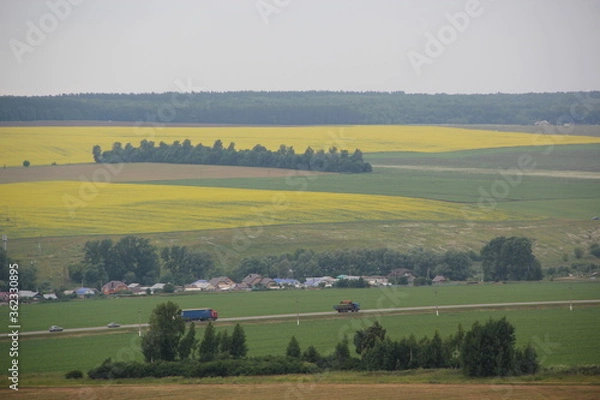 Obraz Summer landscape. Russian field. Nature view