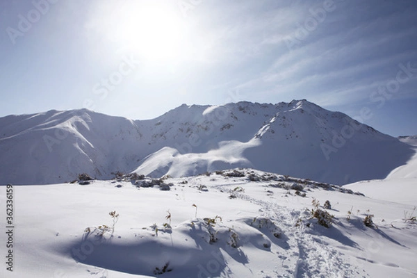 Obraz 室堂の雪景色