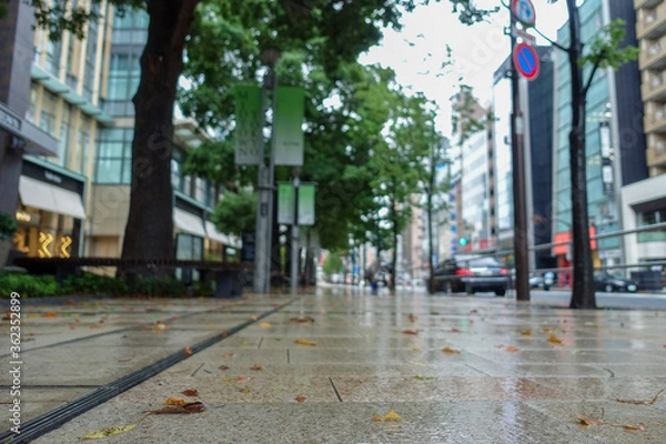 Obraz 雨の日の街中